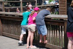 Co-Parenting and Sibling Rivalry co-parenting