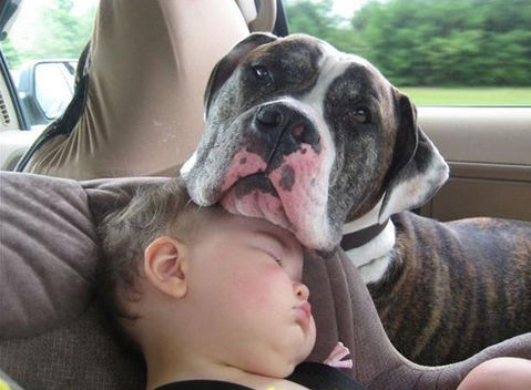 30 Reasons Pets and Kids Should Grow Together pets and kids